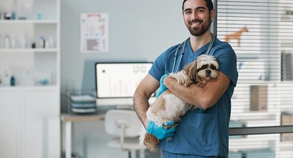 Clínicas veterinarias - Veterinario de animales domésticos cargando un perro en una de las mejores clínicas veterinarias en Valencia