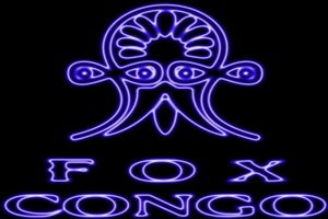Bares de cocktail - Fox Congo