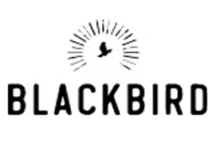 Blackbird