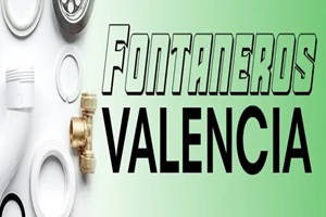 Fontaneros Valencia