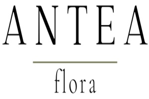 Floristerías - Floristería Antea Flora