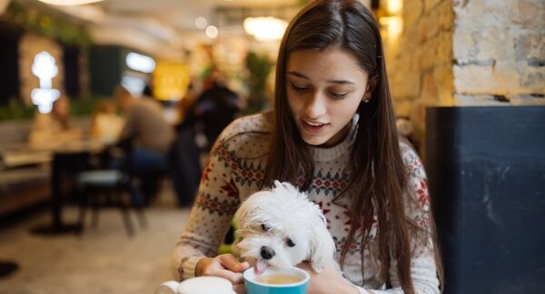 Restaurantes que admiten mascotas - Mujer comiendo en restaurantes que aceptan perros con reglas pet friendly reconocido como uno de los mejores restaurantes que admiten mascotas en Valencia