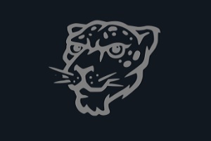 mejores escuelas de natación - logo de Df swimming