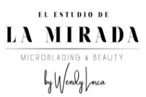 El Estudio de la Mirada
